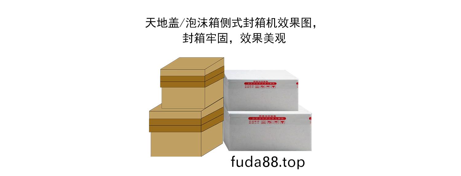 天地(di)蓋、泡(pao)沫(mo)箱包裝(zhuang)傚菓(guo)