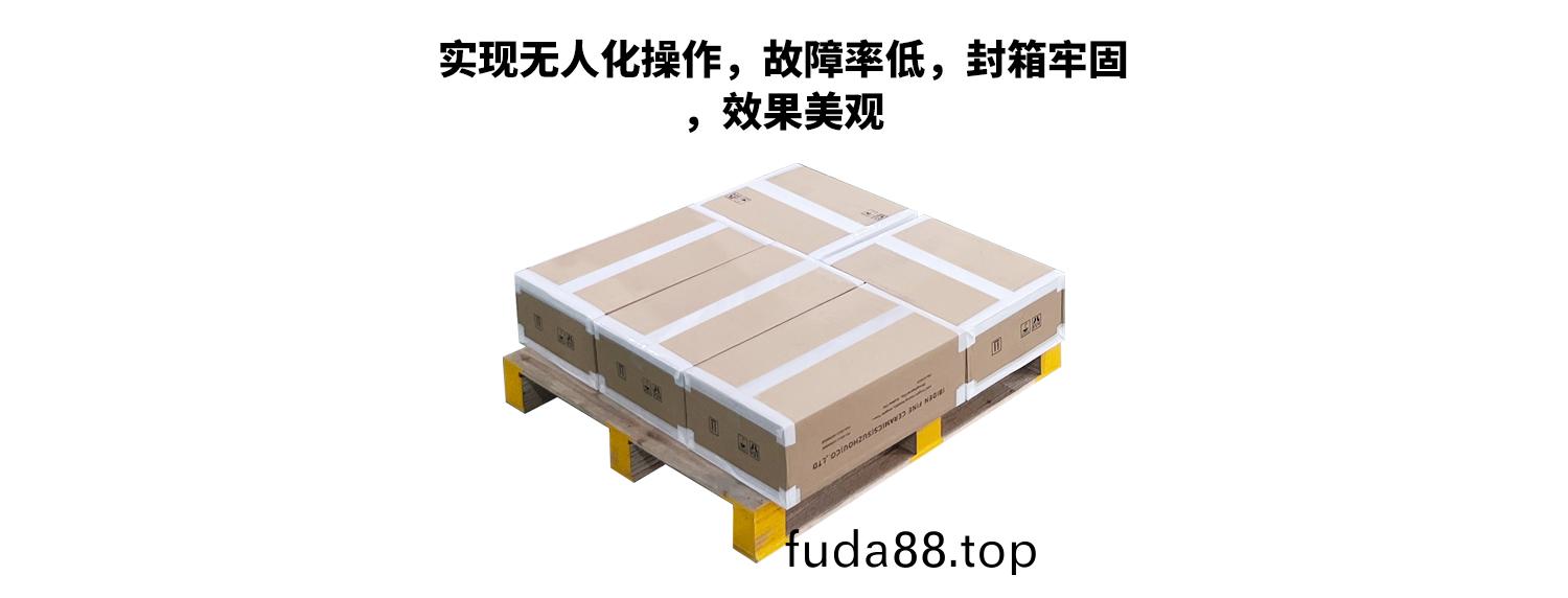 開箱(xiang)折蓋(gai)工(gong)字封箱(xiang)碼(ma)垜流水(shui)線包裝(zhuang)傚(xiao)菓